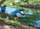 "අත්තම" ජාතික පවිත්‍රතා දින වැඩසටහන