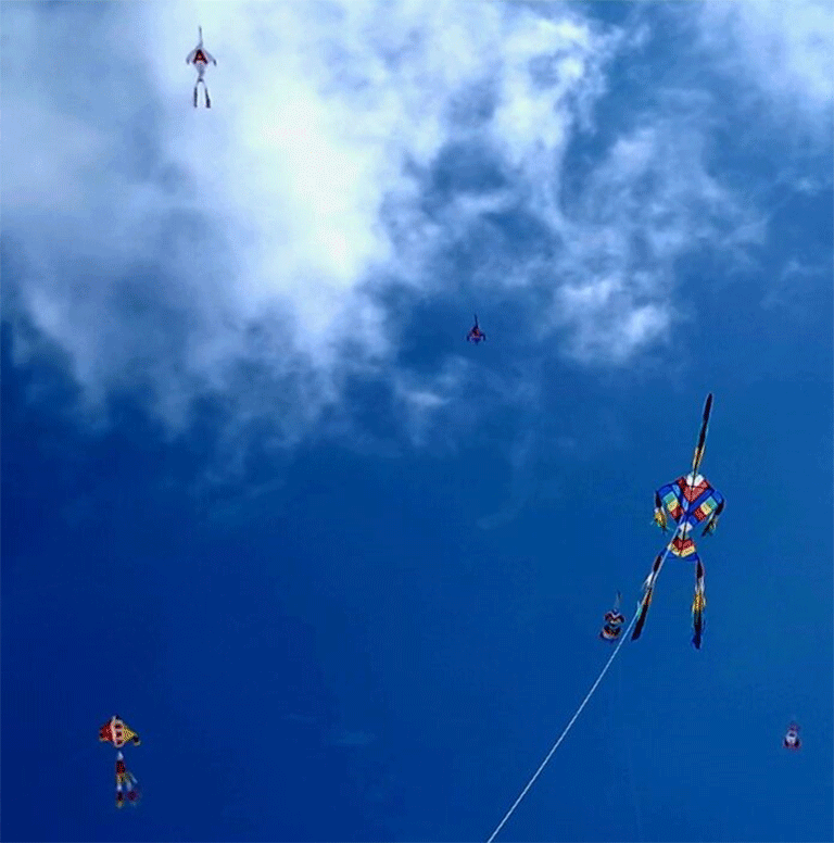 kite1
