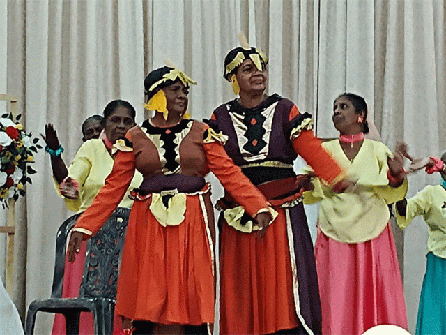 "මීපුර වැඩිහිටි මහෝත්සවය" - 2025